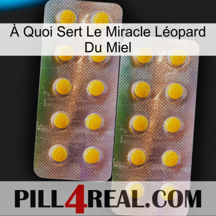 À Quoi Sert Le Miracle Léopard Du Miel new10